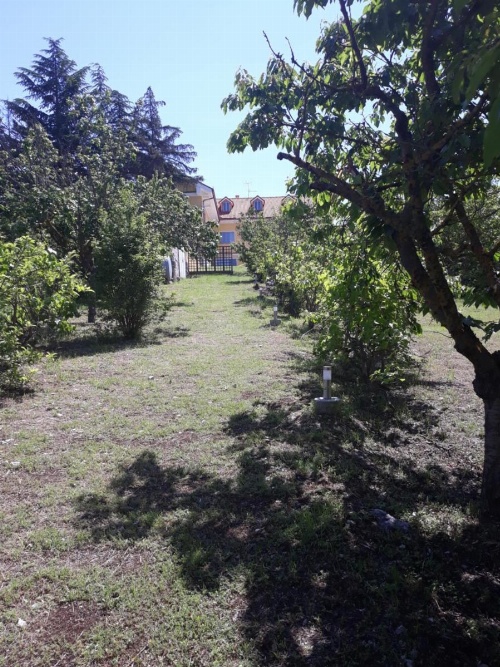 A casa di Fede image 19