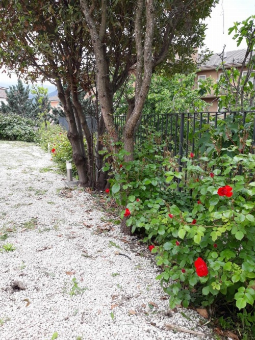 A casa di Fede image 20