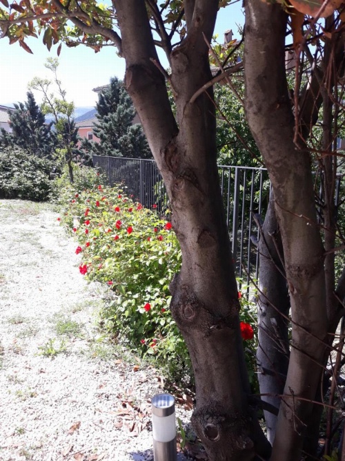 A casa di Fede image 21